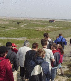 Traversée de la baie de Somme