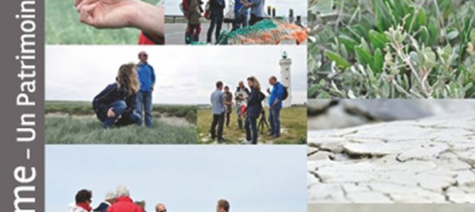 À LA DÉCOUVERTE DE LA BAIE D’AUTHIE