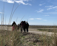 CUEILLETTE ET CONTEMPLATION EN BAIE DE SOMME