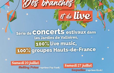 « DES BRANCHES ET DU LIVE »