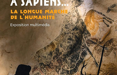 DE TOUMAÏ À SAPIENS