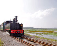 TRAIN & DÉCOUVERTE NATURE