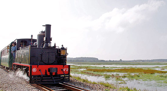 TRAIN & DÉCOUVERTE NATURE