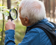 « À LA LOUPE : LES COULEURS D’AUTOMNE COMME JAMAIS VUES »