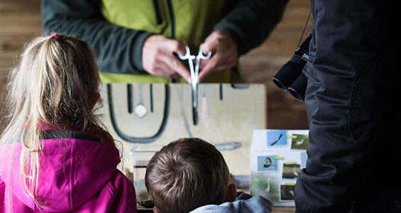 ATELIER PATTES, AILES ET BECS