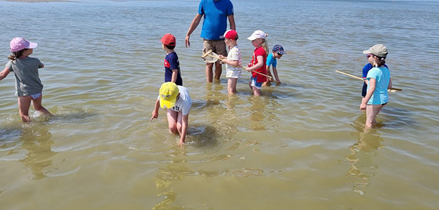 BALADE NATURE « PÊCHE À PIED, COQUILLAGES ET LAISSE DE MER »